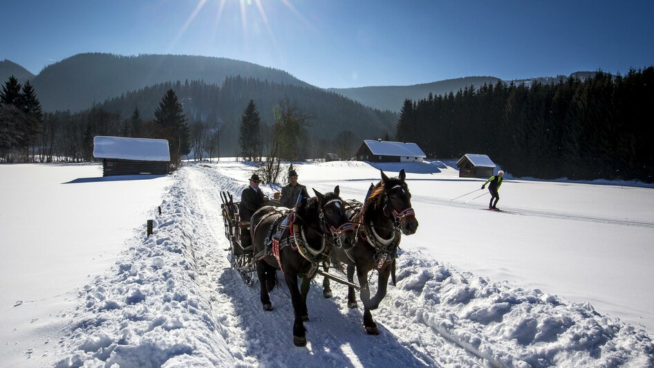 Pferdeschlitten im Ausseerland | © TVB Ausseerland Salzkammergut/Tom Lamm