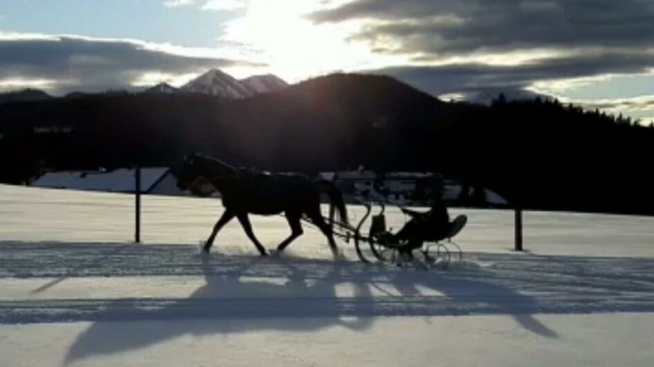 Schlittenfahrt im Winter | © Mag. Tamara Frießnegg