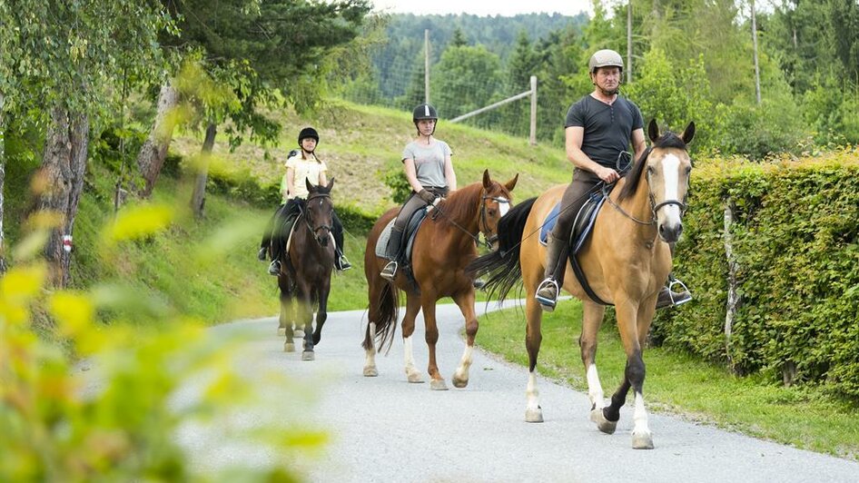 Pferdeland Pöllauer Tal_Reiter_Oststeiermark | © Pferdeland Pöllauer Tal