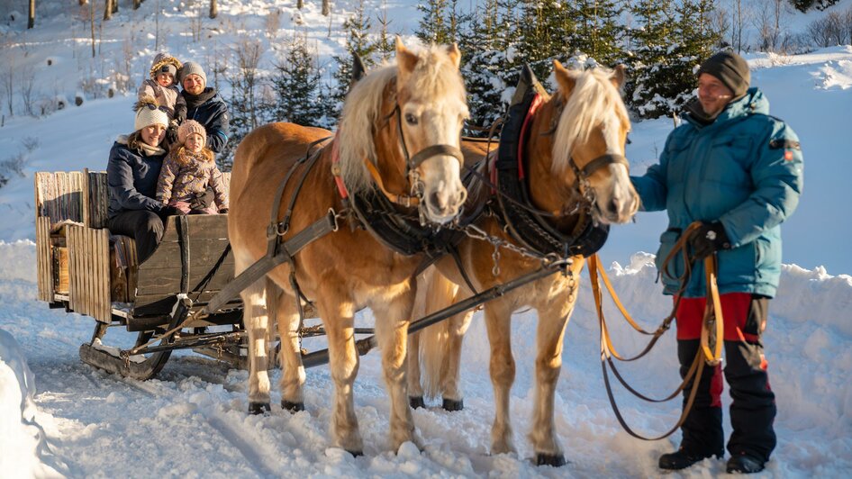 Pferdeschlittenfahren_Pferde_Oststeiermark | © Tourismusverband Oststeiermark