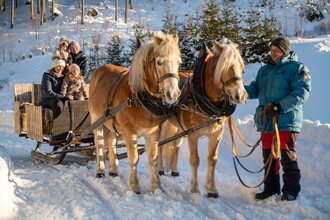 Pferdeschlittenfahren_Pferde_Oststeiermark | © Tourismusverband Oststeiermark