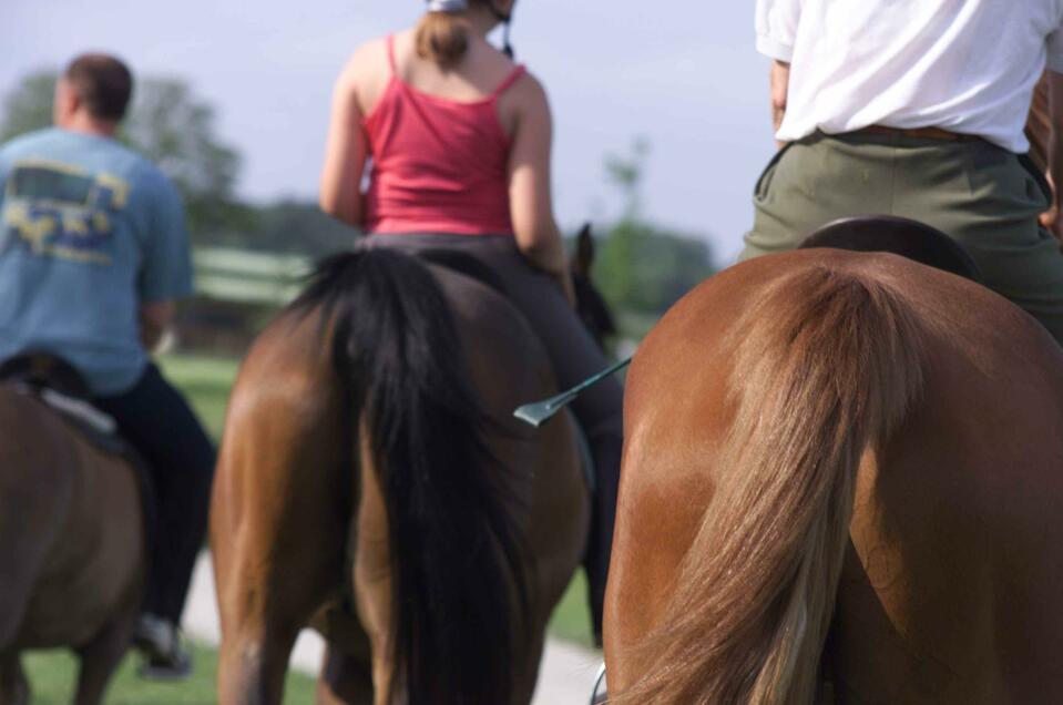 Horse breeding Nowak - Impression #1 | © Kurkommission Bad Blumau/A. Bruckner