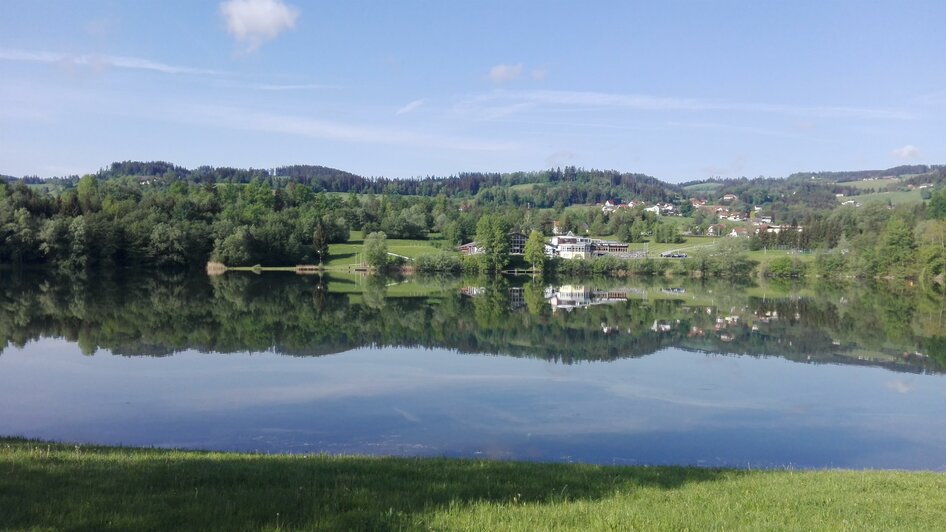 Pibersteiner See_Blick auf den See | © Rene Lederer