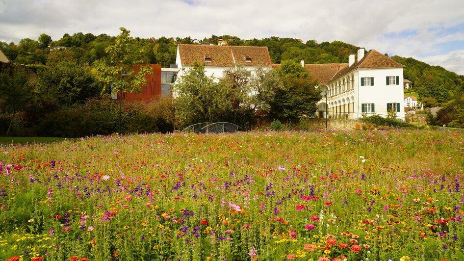 Picknickplatz_Blumenwiese_Oststeiermark | © Tourismusverband Oststeiermark