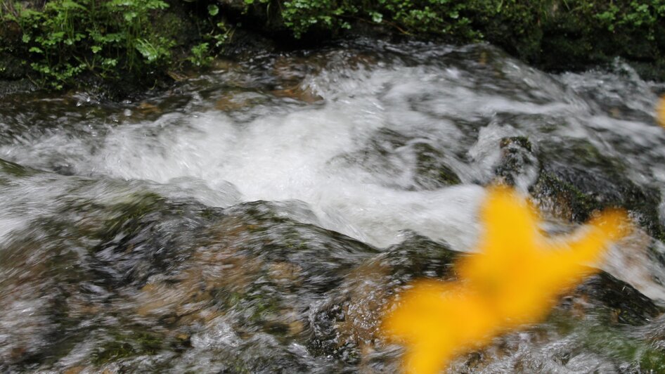 Picknicken in der Romai_Bach_Oststeiermark | © Tourismusverband Oststeiermark