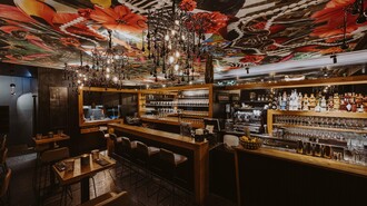 Pink Elephant | © Aiola - Joel Kernasenko