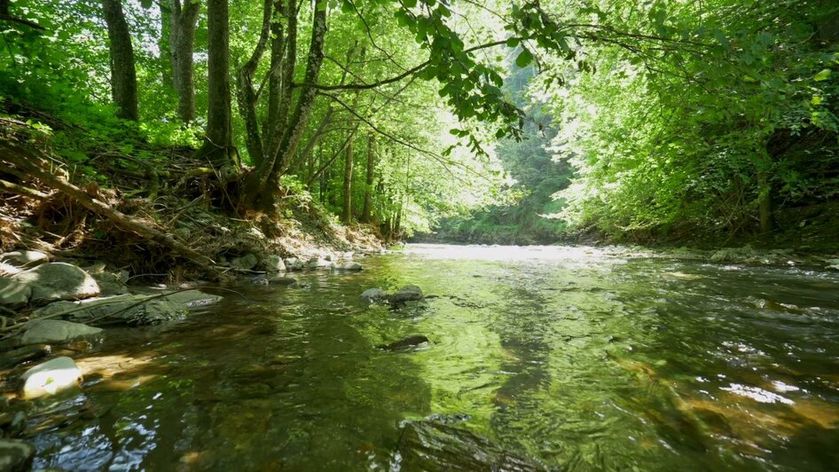 Raabklamm am Wasser_Oststeiermark_Steinkellner | © Tourismusverband Oststeiermark