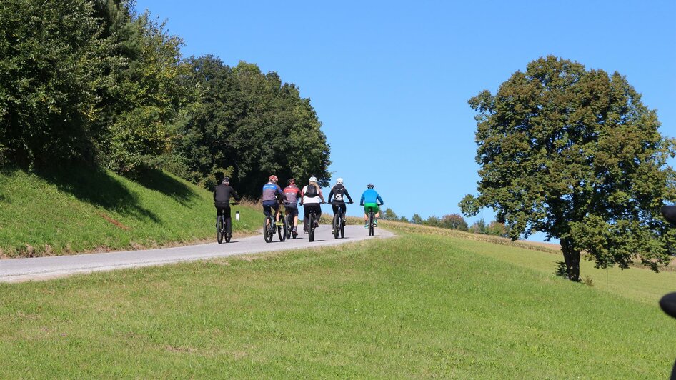 Rad-Guide_Gruppe Radfahren_Oststeiermark | © KEM Naturpark Pöllauer Tal