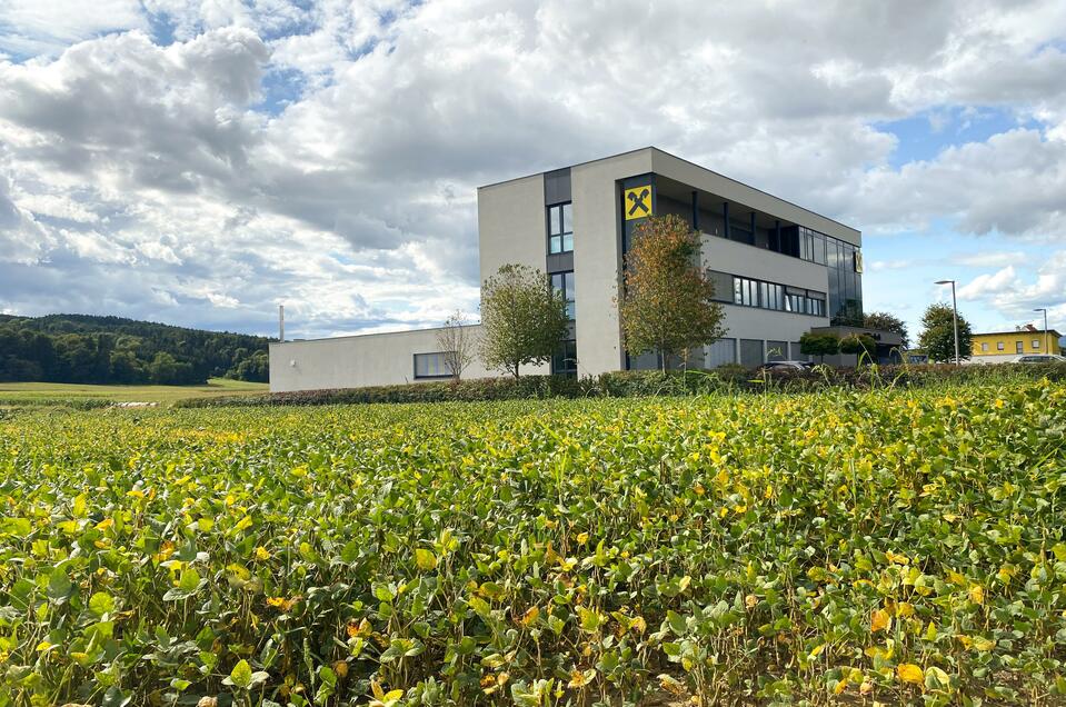 Raiffeisenbank Bad Waltersdorf - Impression #1 | © Thermen- und Vulkanland