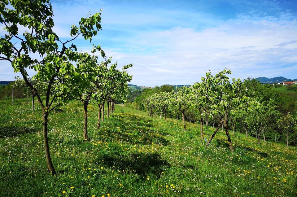 ReSi - Fine spirits from the Bunderla family in Kapfenstein - Impression #1 | © Familie Bunderla