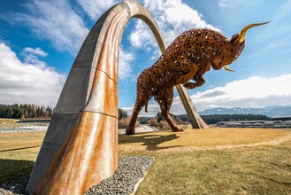 RedBullRing-Bulle-Frühling-Murtal-Steiermark | © Andreas Berr - Region Spielberg