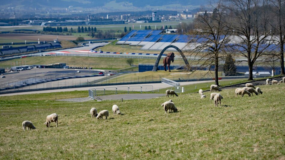 RedBullRing-Frühling1-Murtal-Steiermark | © Anita Fössl