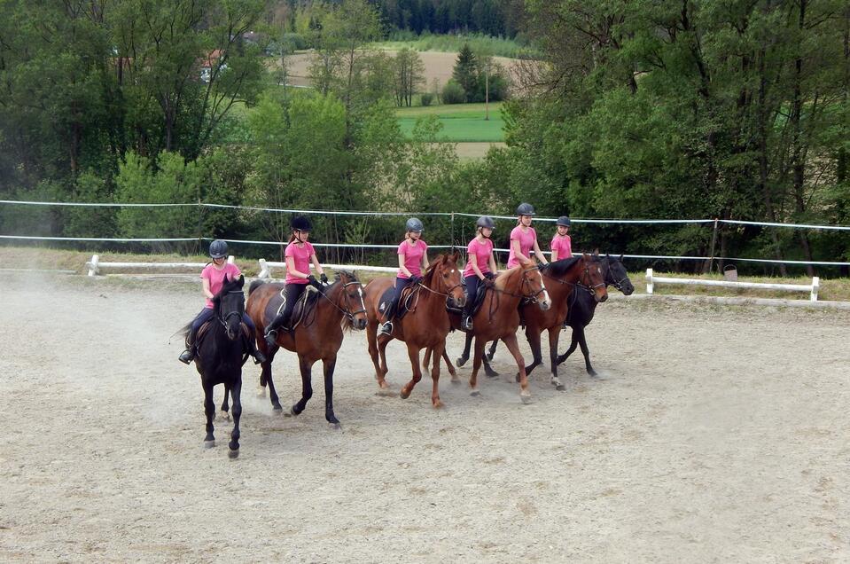 Reitclub Georgsberg - Impression #1