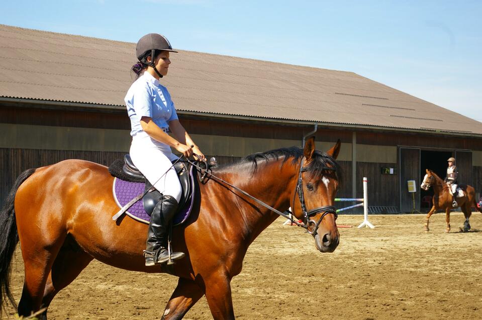 Riding Club Sachendorf - Impression #1 | © RC Sachendorf