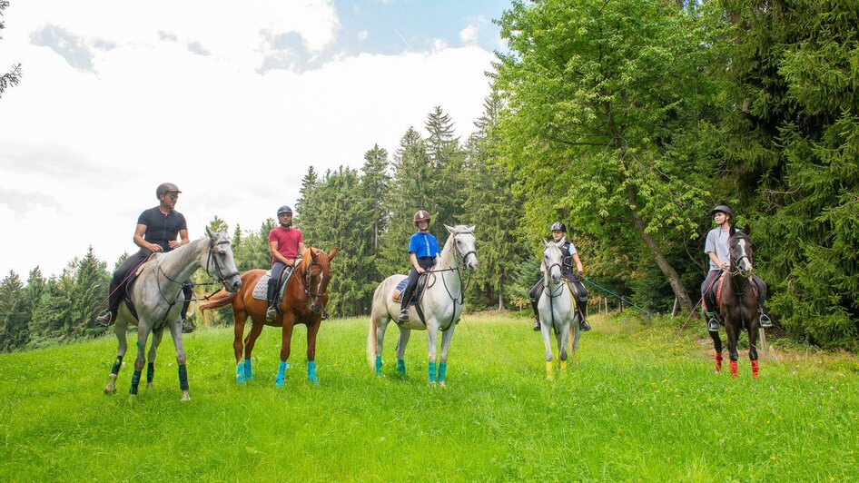 Reiten Hotel Muhr_Reiter auf Wiese_Oststeiermark | © Waldhof Muhr