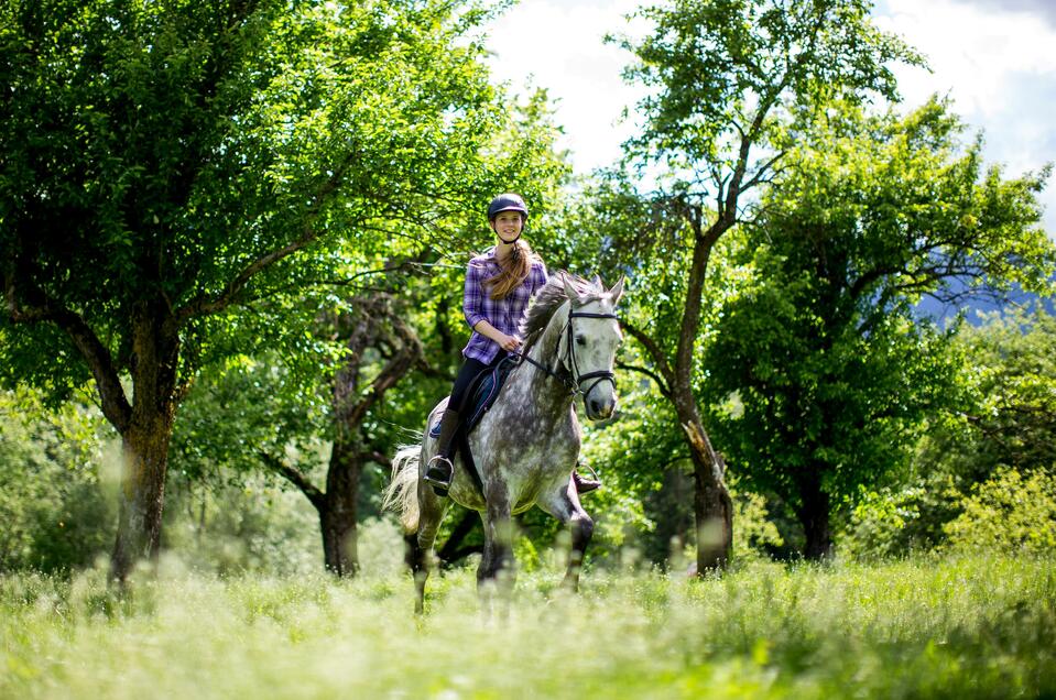 Reiten am Biohof Moar - Impression #1