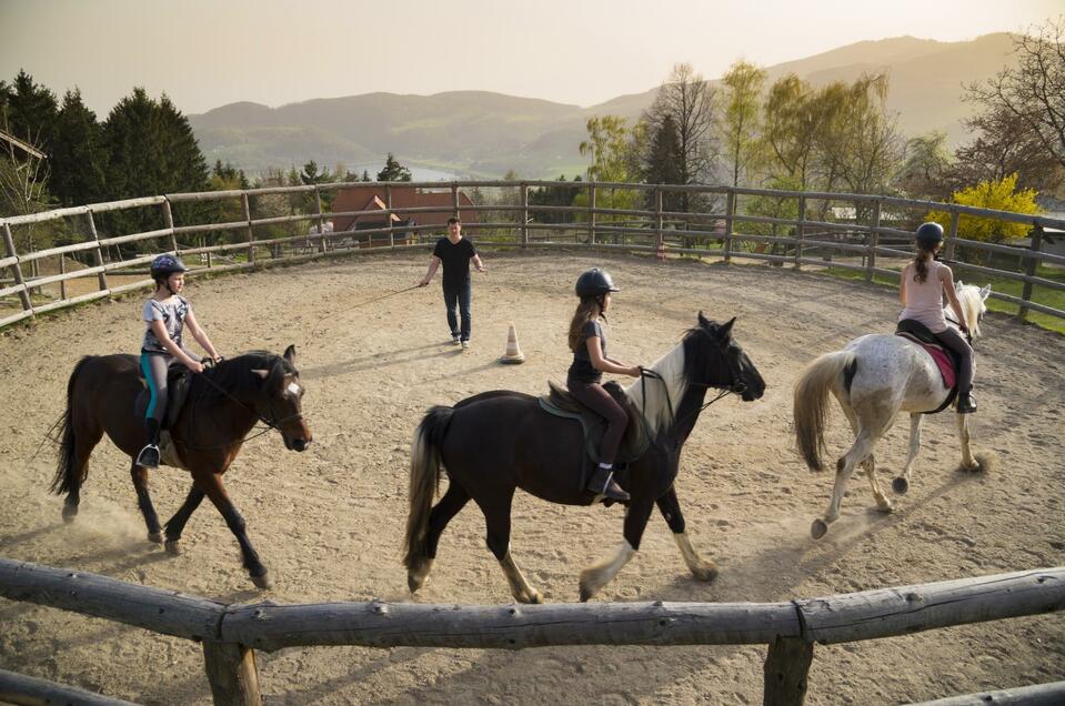 Reiten am Michlhof - Impression #1 | © Michlhof