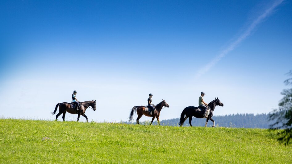 Reiten Zeutschach | © Tourismusverband Murau