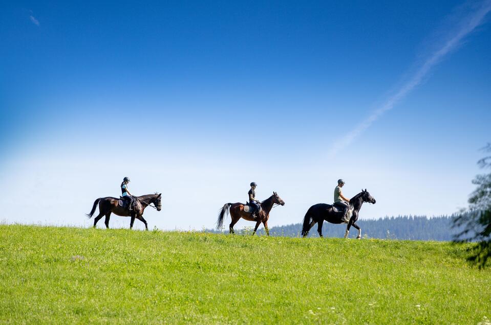 Reiten im Naturpark - Impression #1 | © Tourismusverband Murau