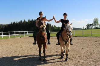 horse farm "the Leitner"_riding_Eastern Styria | © Narnhoferwirt