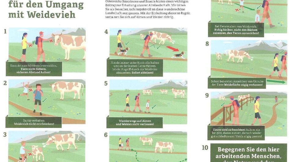 Verhaltensregeln auf Österreichs Almen | © Bundesministerium für Nachhaltigkeit und Tourismus Verhaltensregeln auf Österreichs Almen | © Bundesministerium für Nachhaltigkeit und Tourismus