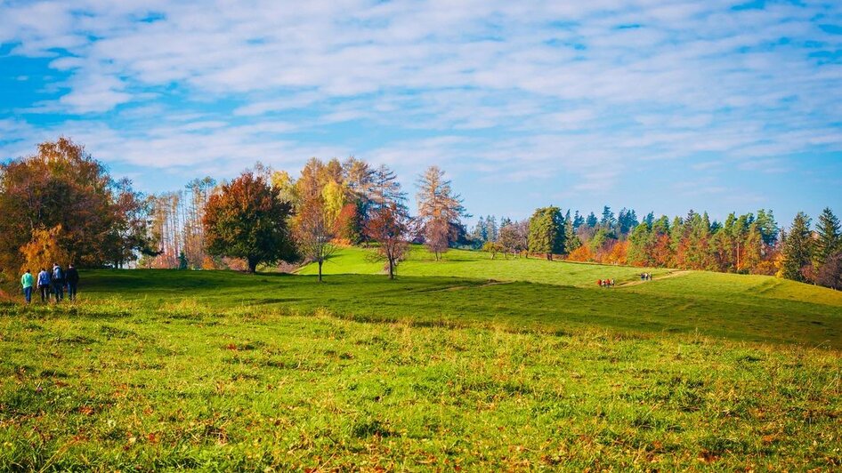 Naturpark Südsteiermark_Remschnigalm | TV Südsteeiermark | © RMSW GmbH webquartier Naturpark Südsteiermark_Remschnigalm | © RMSW GmbH webquartier