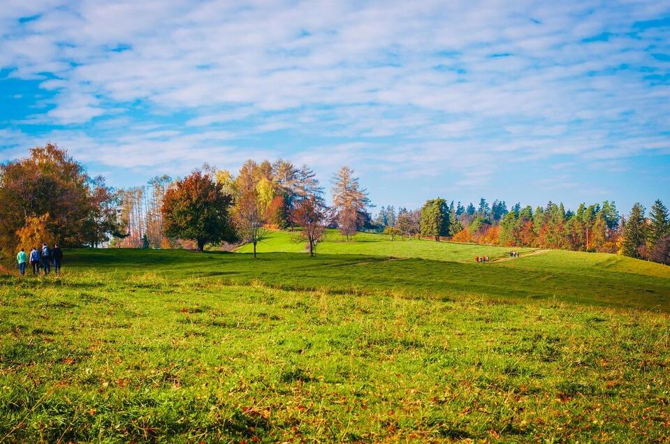 Naturpark Südsteiermark_Remschnigalm | TV Südsteeiermark | © RMSW GmbH webquartier Remschniggalm - Naturpark Juwel - Impression #1 | © RMSW GmbH webquartier