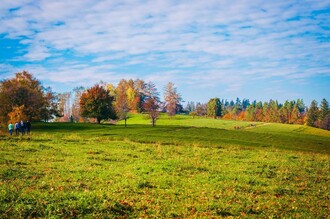 Naturpark Südsteiermark_Remschnigalm | © RMSW GmbH webquartier