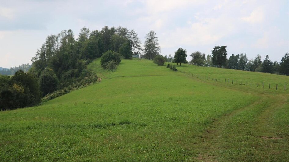 Naturpark Südsteiermark_Remschniggalm | TV Südsteiermark | © Julia Kerschbaumer Naturpark Südsteiermark_Remschniggalm | © Julia Kerschbaumer