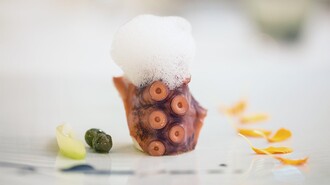 Artis - cuisine | © Artis