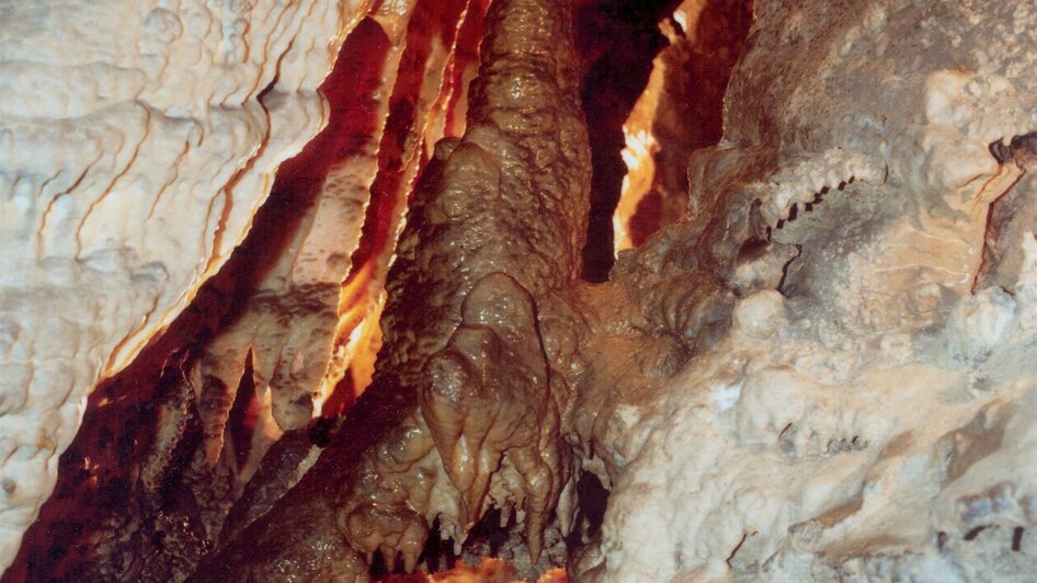 Der Auerhahn in der Rettenwandhöhle | © Fritz Bayerl