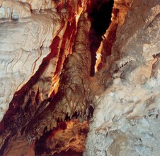 Der Auerhahn in der Rettenwandhöhle | © Fritz Bayerl