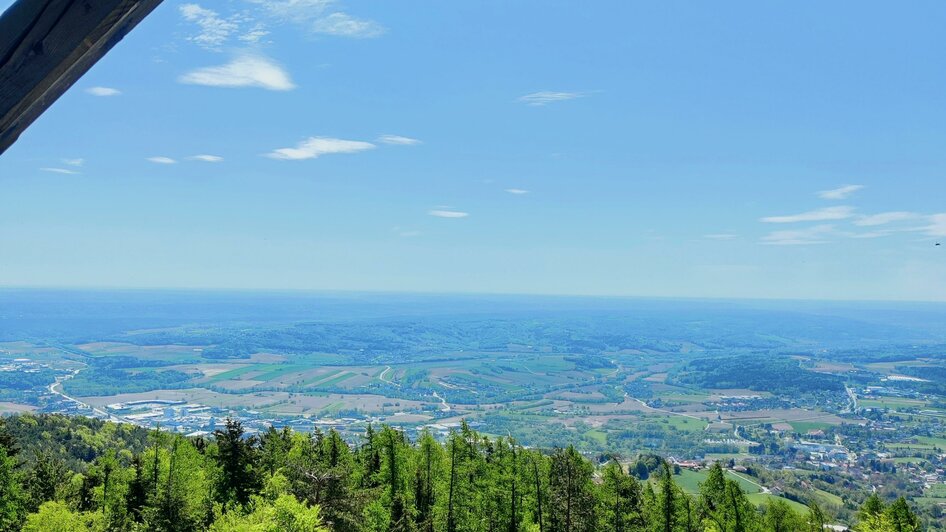 Ringwarte Hartberg_Aussicht_Oststeiermark | © Tourismsuverband Oststeiermark