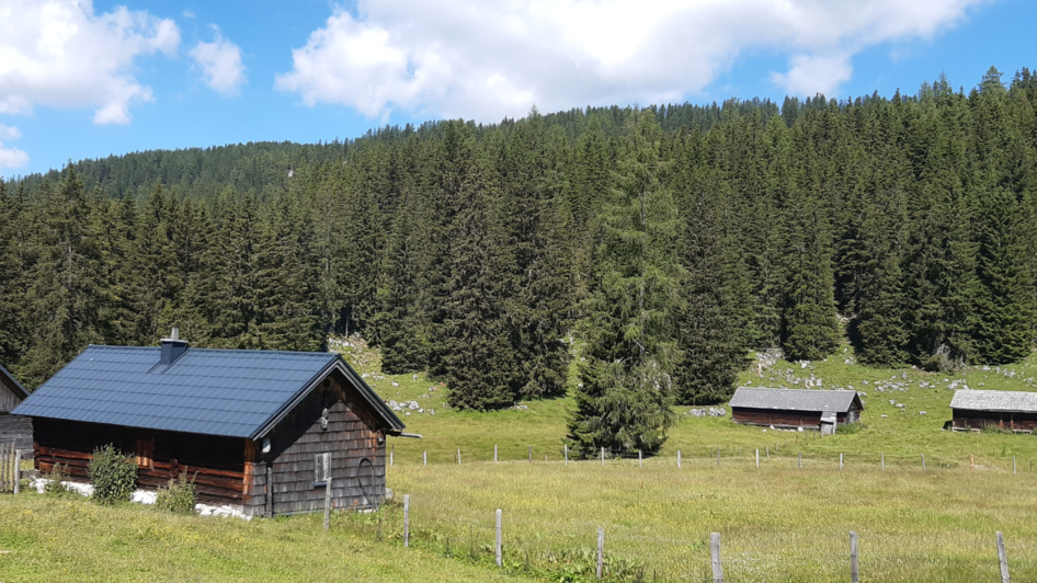 Ritzingerhütte Viehbergalm - Impression #2.1