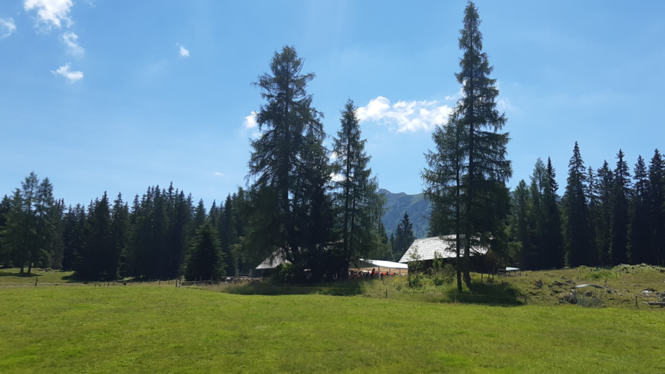 Viehbergalm | Daniela Casari | © Daniela Casari Viehbergalm | © Daniela Casari