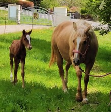 Robausch Reiten | © Robausch