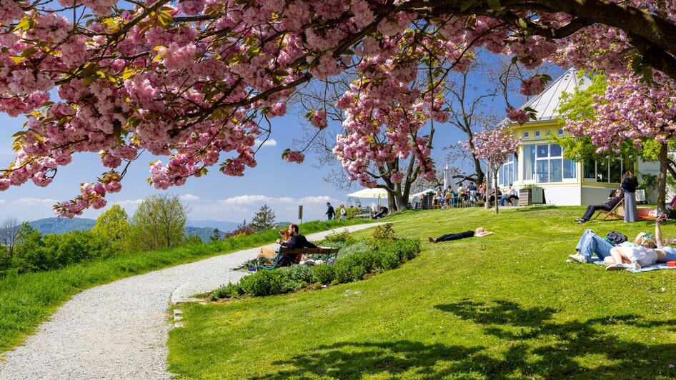 Blütenpracht & Ausblick, Frühling am Rosenhain | © Graz Tourismus-Harry Schiffer