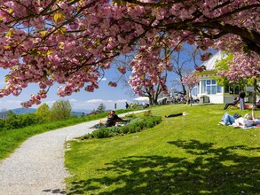 Blütenpracht & Ausblick, Frühling am Rosenhain | © Graz Tourismus-Harry Schiffer