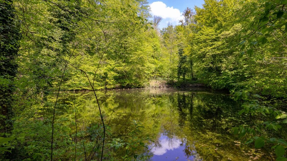Waldteich am Rosenhain Graz | © Graz Tourismus-Harry Schiffer