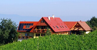 Weingut - Winzerzimmer - Buschenschank Rothschädl | © Margit & Anton Rothschädl | Weingut Rothschädl