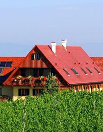 Weingut - Winzerzimmer - Buschenschank Rothschädl | © Margit & Anton Rothschädl | Weingut Rothschädl | Margit & Anton Rothschädl | © Margit & Anton Rothschädl | Weingut Rothschädl