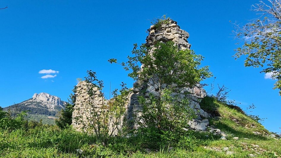 Ruine Pflindsberg, Altaussee, Aussicht | © Stephanie Bor