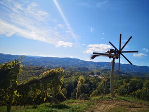 Südstlichster Punkt der Steiermark | © Südlichster Punkt | Reiterer Nicole