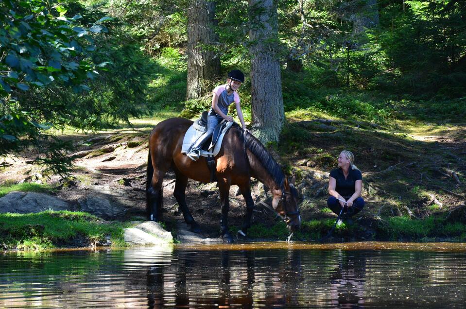 Riding at the Schilcherhof - Impression #1