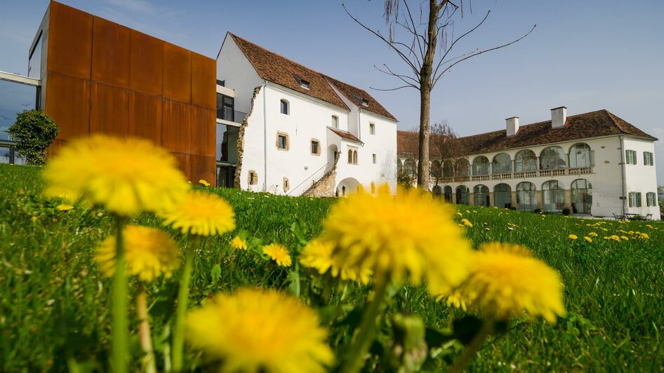 Schloss Hartberg_Blumen_Oststeiermark | © Tourismusverband Oststeiermark