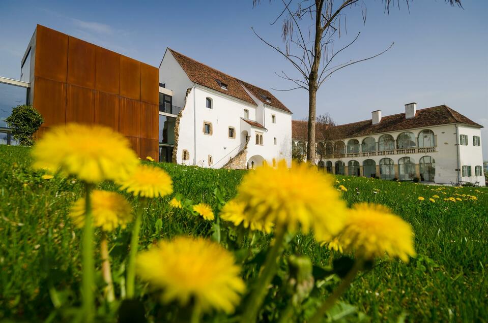 Schloss Hartberg - Impression #1 | © Tourismusverband Oststeiermark