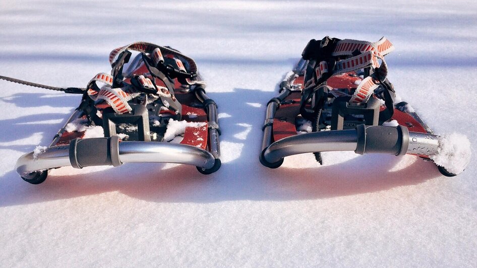 Sabathy-Schneeschuhe1-Murtal-Steiermark | © Pixabay