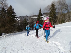 Schneeschuhwandern-Gaal-Murtal-Steiermark | © Weges