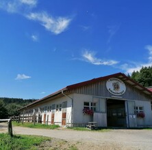 Schneeberger_Riding stable_Eastern Styria | © Reitstall Schneeberger