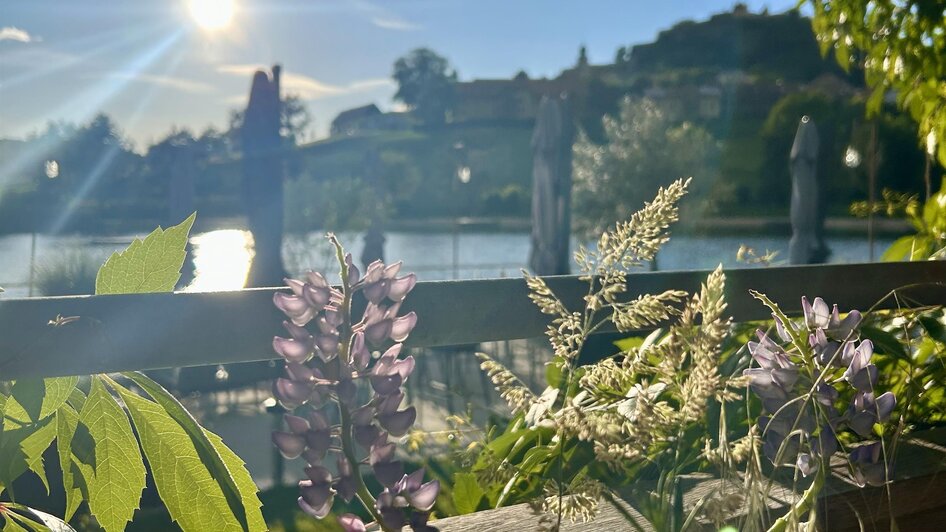 Seebad Riegersburg6 | © © Thermen- & Vulkanland